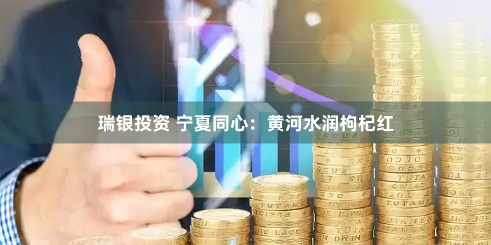 瑞银投资 宁夏同心：黄河水润枸杞红