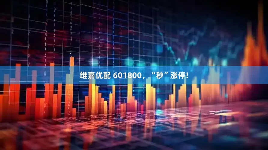 维嘉优配 601800，“秒”涨停!