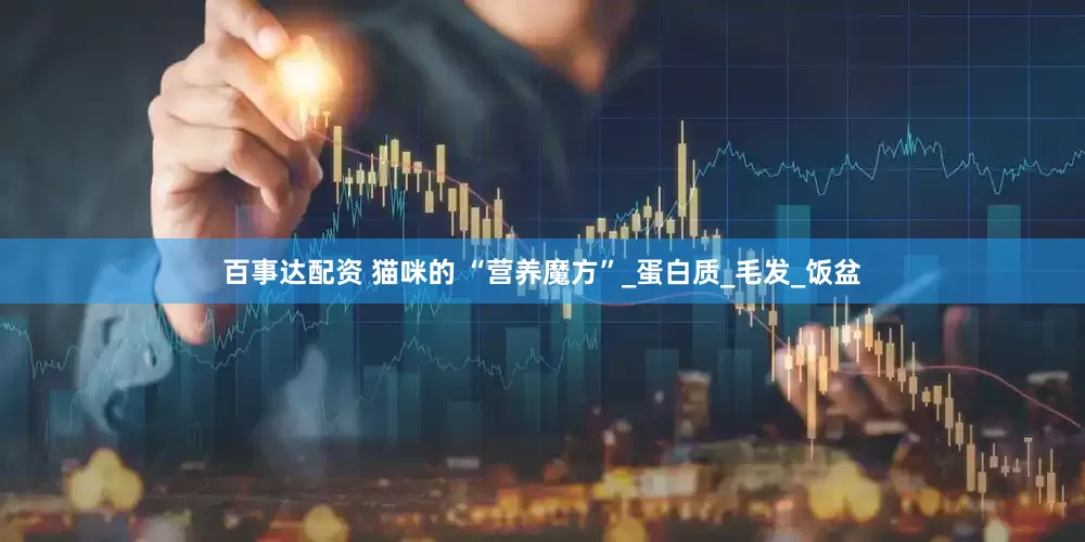 百事达配资 猫咪的 “营养魔方”_蛋白质_毛发_饭盆