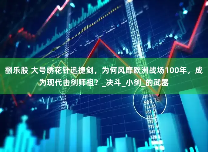 翻乐股 大号绣花针迅捷剑，为何风靡欧洲战场100年，成为现代击剑师祖？_决斗_小剑_的武器