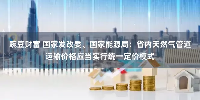 豌豆财富 国家发改委、国家能源局：省内天然气管道运输价格应当实行统一定价模式