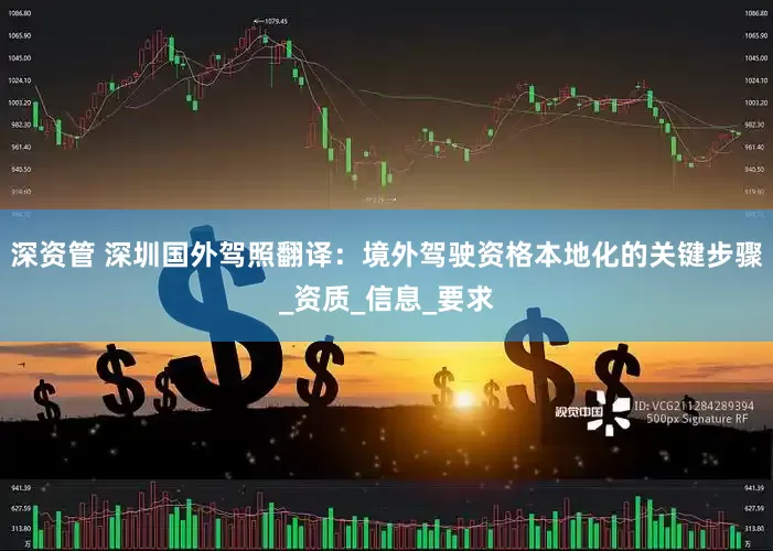 深资管 深圳国外驾照翻译：境外驾驶资格本地化的关键步骤_资质_信息_要求