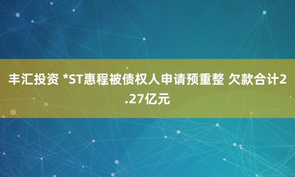 丰汇投资 *ST惠程被债权人申请预重整 欠款合计2.27亿元