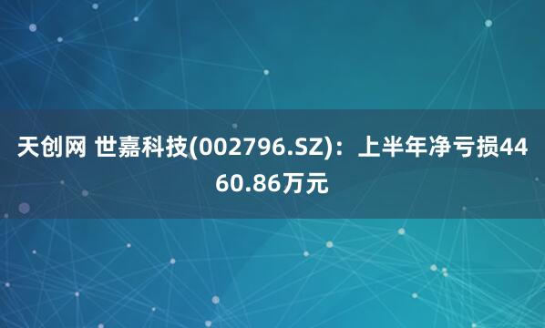 天创网 世嘉科技(002796.SZ)：上半年净亏损4460.86万元